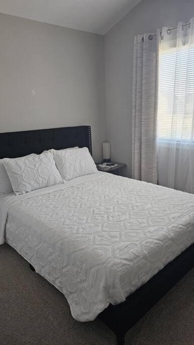 קונקורד Gorgeous 3 Bedroom Home With Cable Tv In All Rooms & Free Wi-Fi מראה חיצוני תמונה